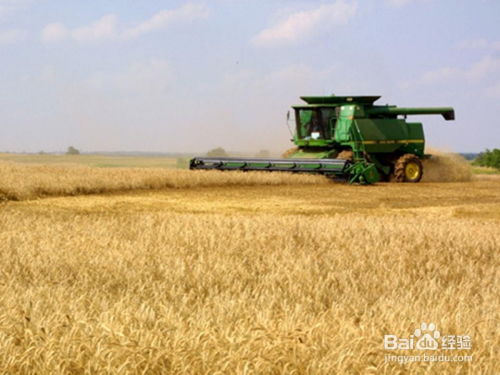 商品谷物農業中的化肥銷售 關鍵知識與策略總結